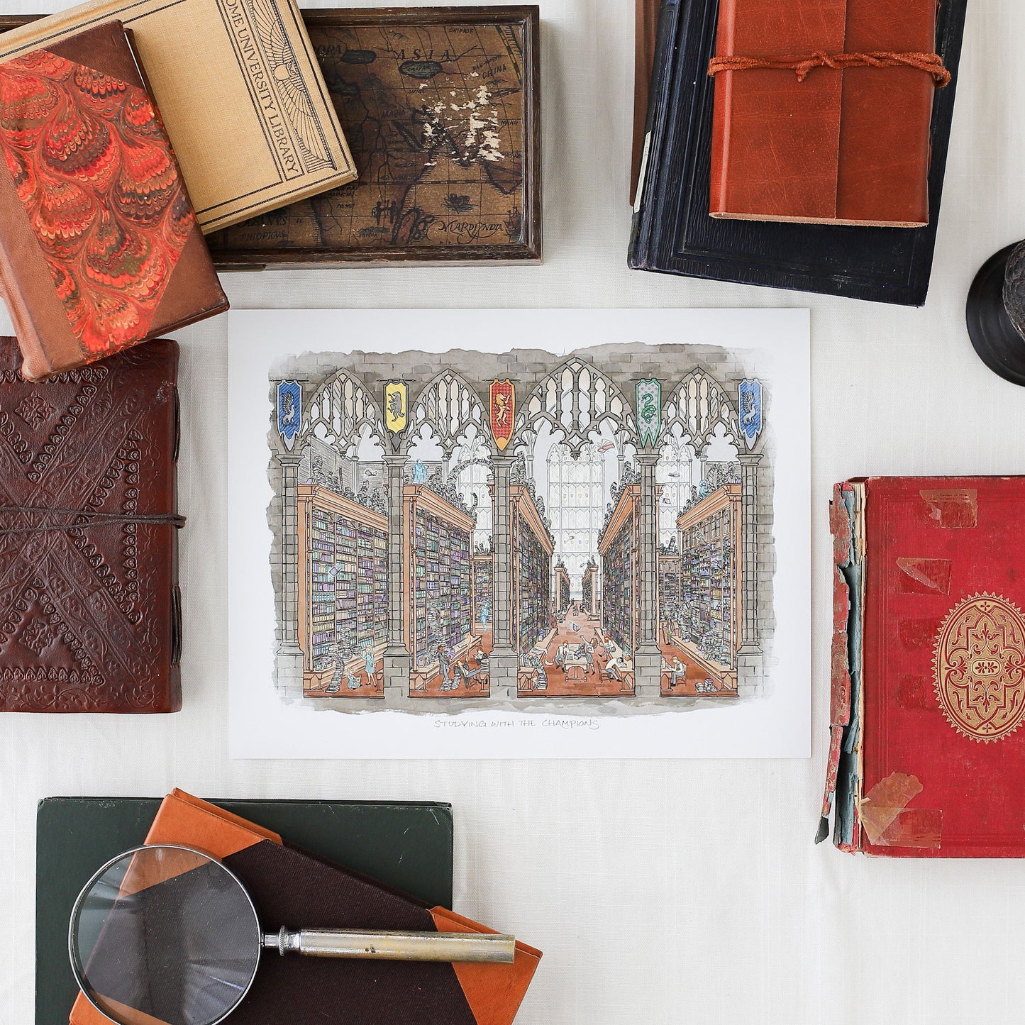Studying with the Champions || Wizarding Collection