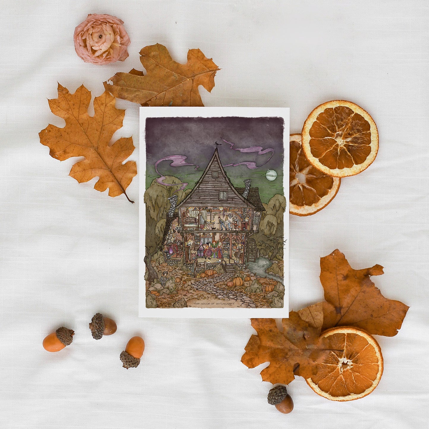 The House of Witchcraft || Halloween Haunted House Collection