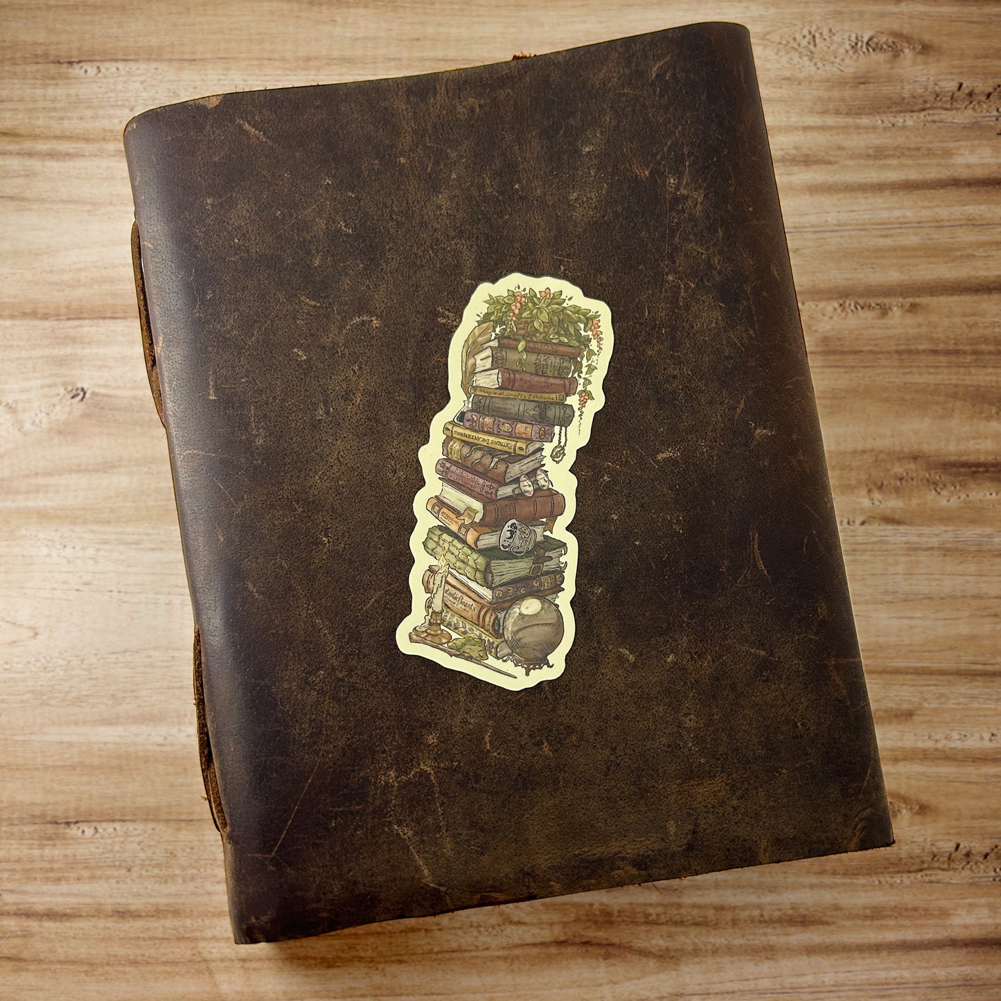 Overdue Library Books || Vinyl Sticker